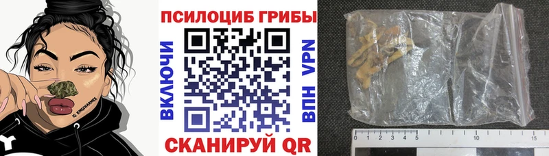 Псилоцибиновые грибы прущие грибы  Нытва 